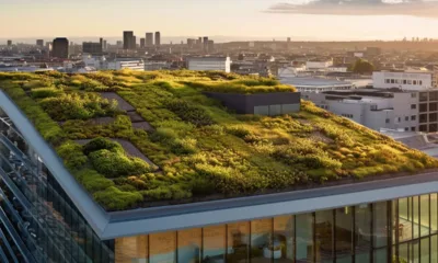 Zeleni krov na zgradi
