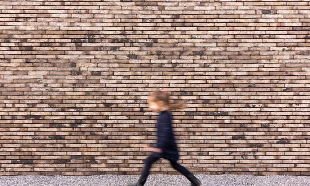 Fasadna cigla / foto: Brick House